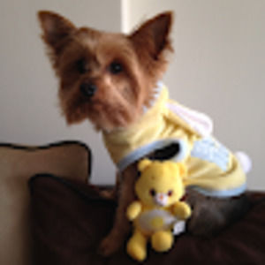 Meet your Posher, Jimena